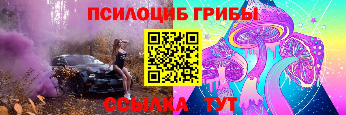 Галлюциногенные грибы MAGIC MUSHROOMS  Вход с VPN  купить  сайты  Елизово 