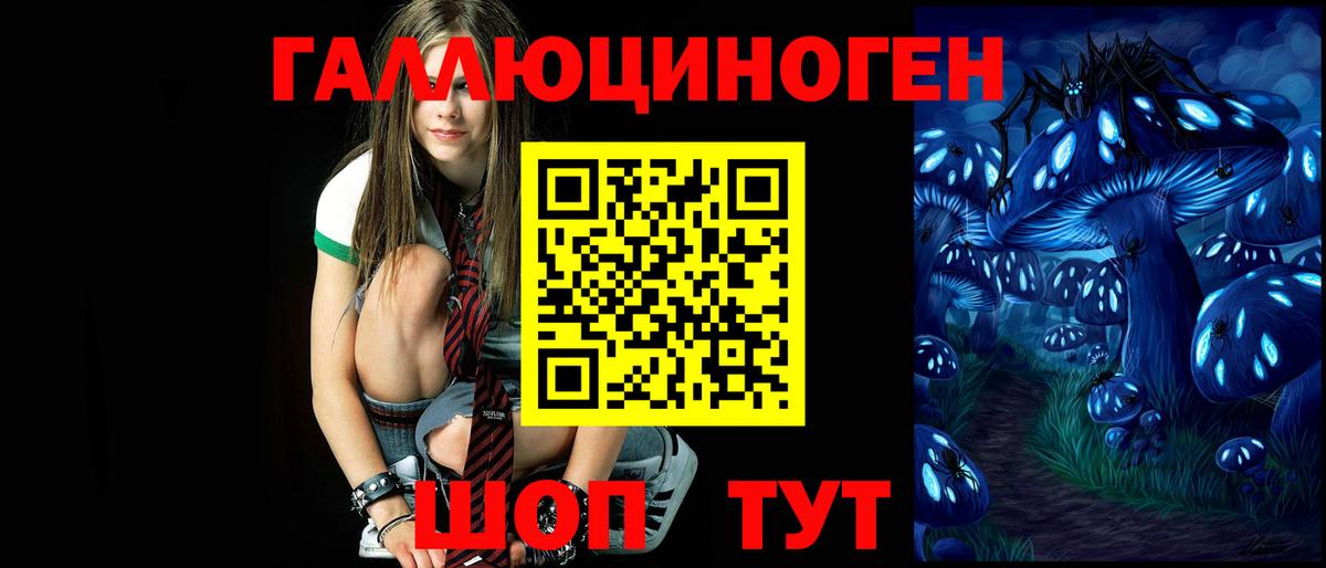 Псилоцибиновые грибы Psilocybe Елизово